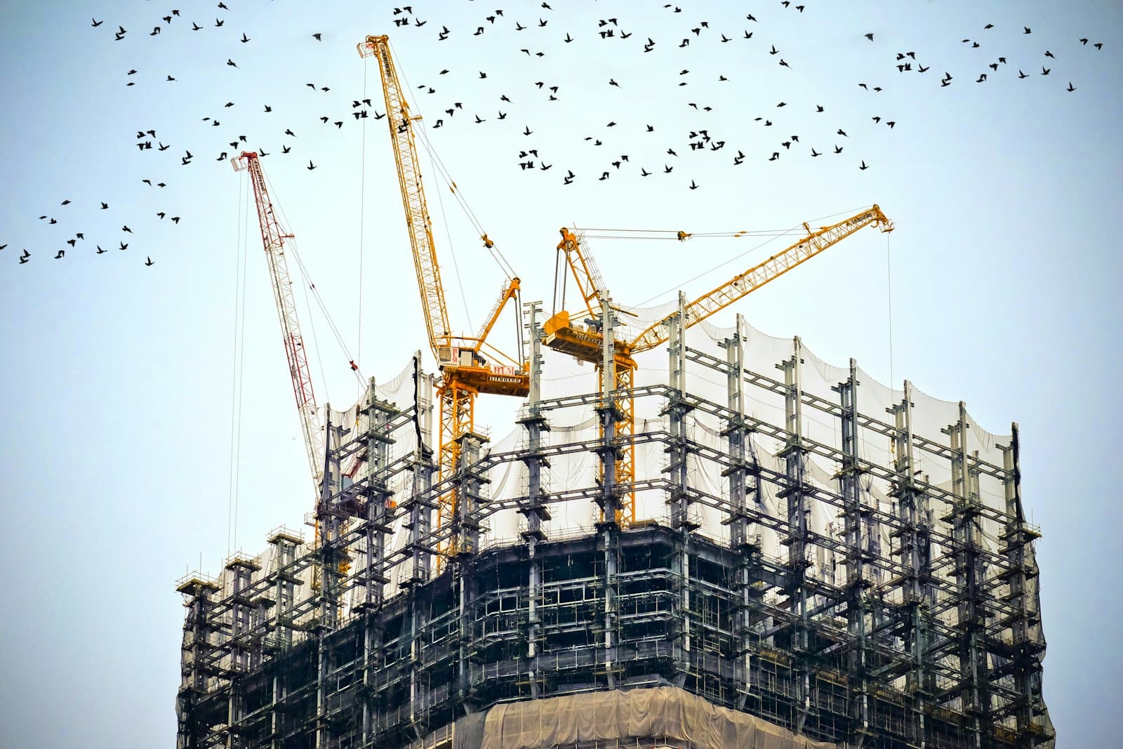 Tower cranes rising over a construction site